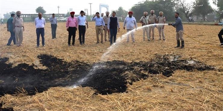 Crop residue burning in Punjab 740 fresh cases, govt action continues